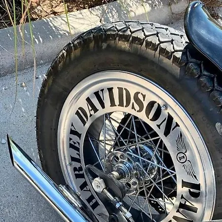 La Pacheca Rock * Lazise