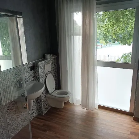 La Pacheca 라찌제